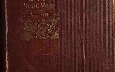The Mystery of the True Vine