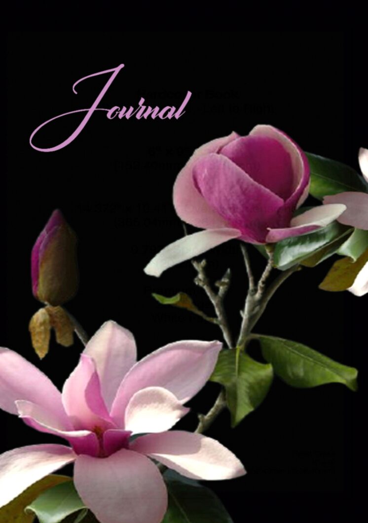 Journal with the Holy Spirit