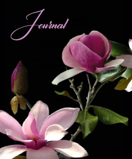 Journal with the Holy Spirit